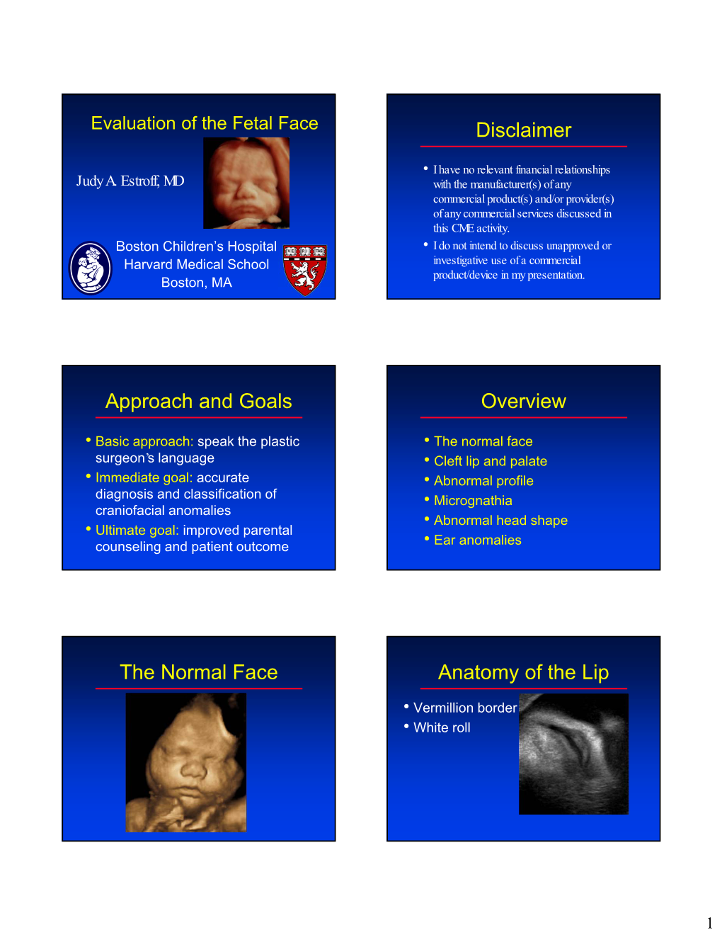 Evaluation of the Fetal Face Disclaimer