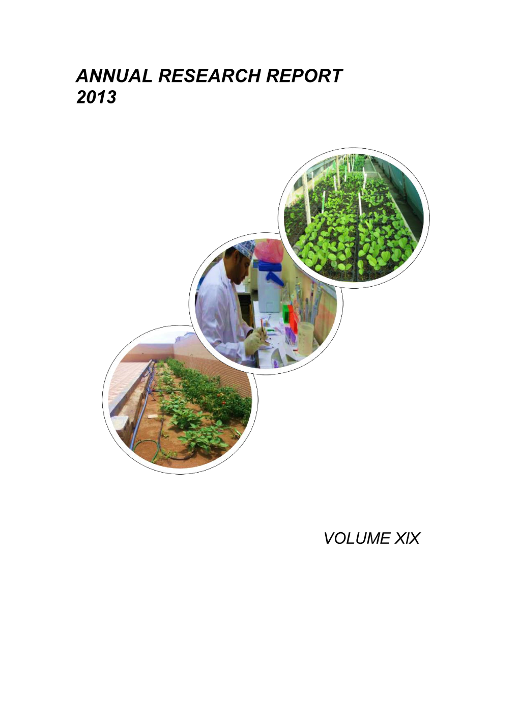 Annual Research Report 2013