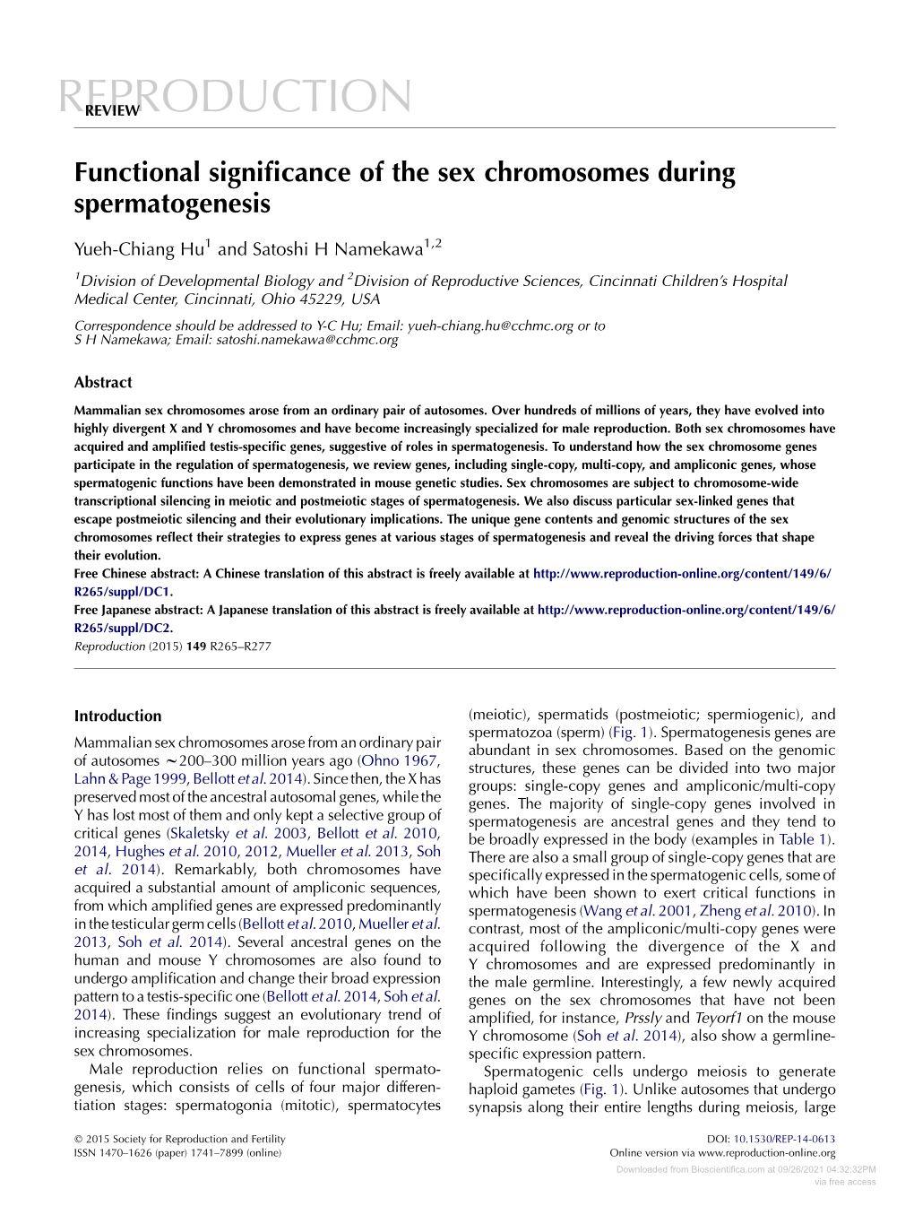 Functional Significance of the Sex Chromosomes During