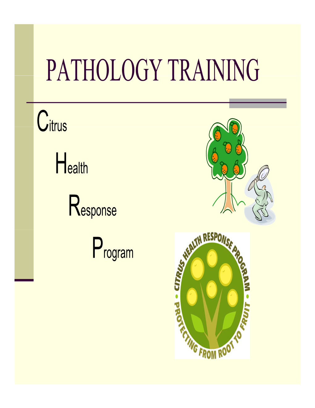 Pathology Training