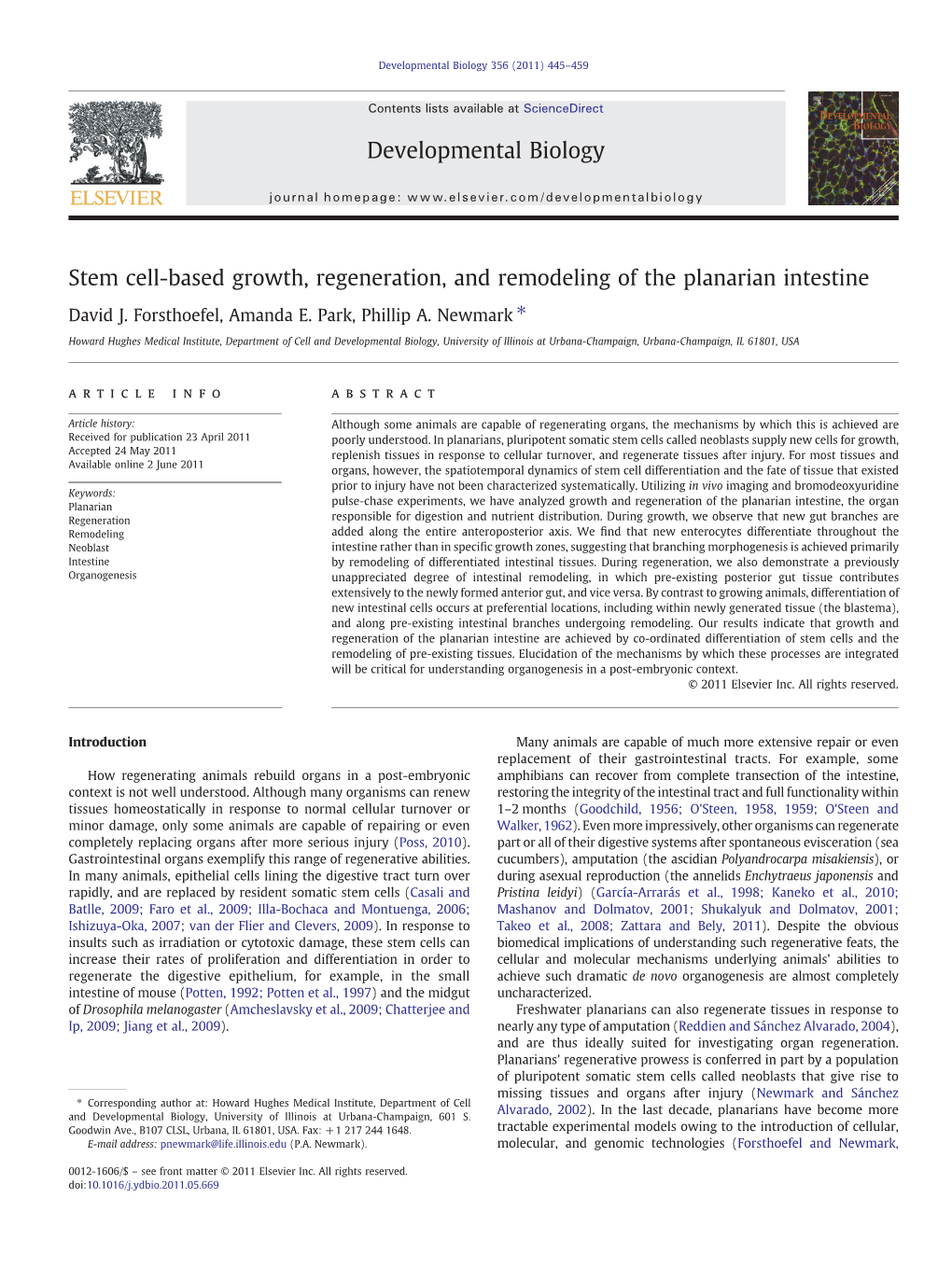 Stem Cell-Based Growth, Regeneration, and Remodeling of the Planarian Intestine