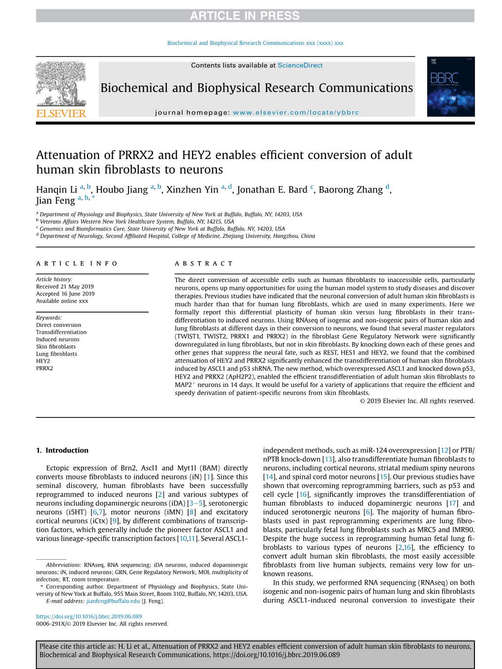 Attenuation of PRRX2 and HEY2 Enables Efficient Conversion of Adult Human Skin Fibroblasts to Neurons