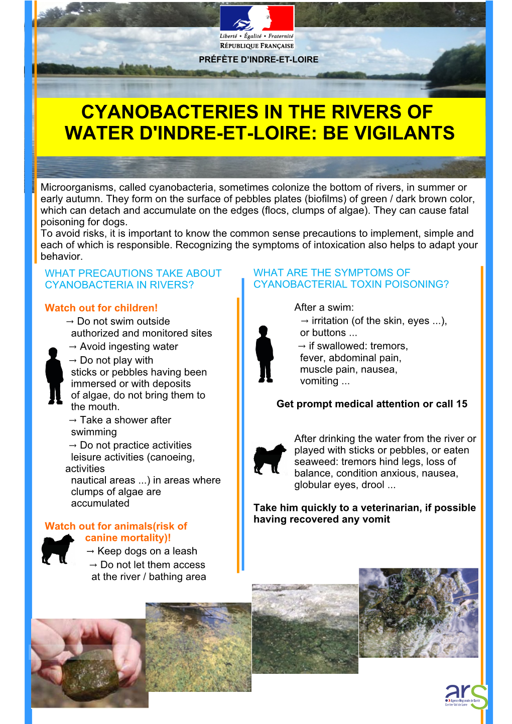 Cyanobacteries in the Rivers of Water D'indre-Et-Loire: Be Vigilants