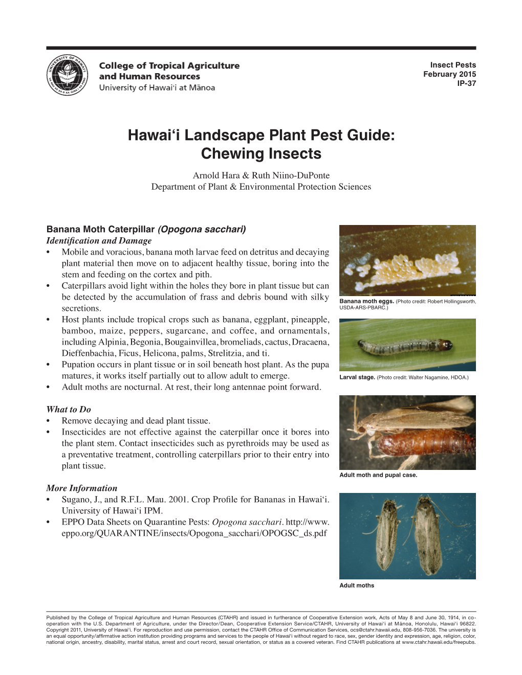 Hawai'i Landscape Plant Pest Guide: Chewing Insects