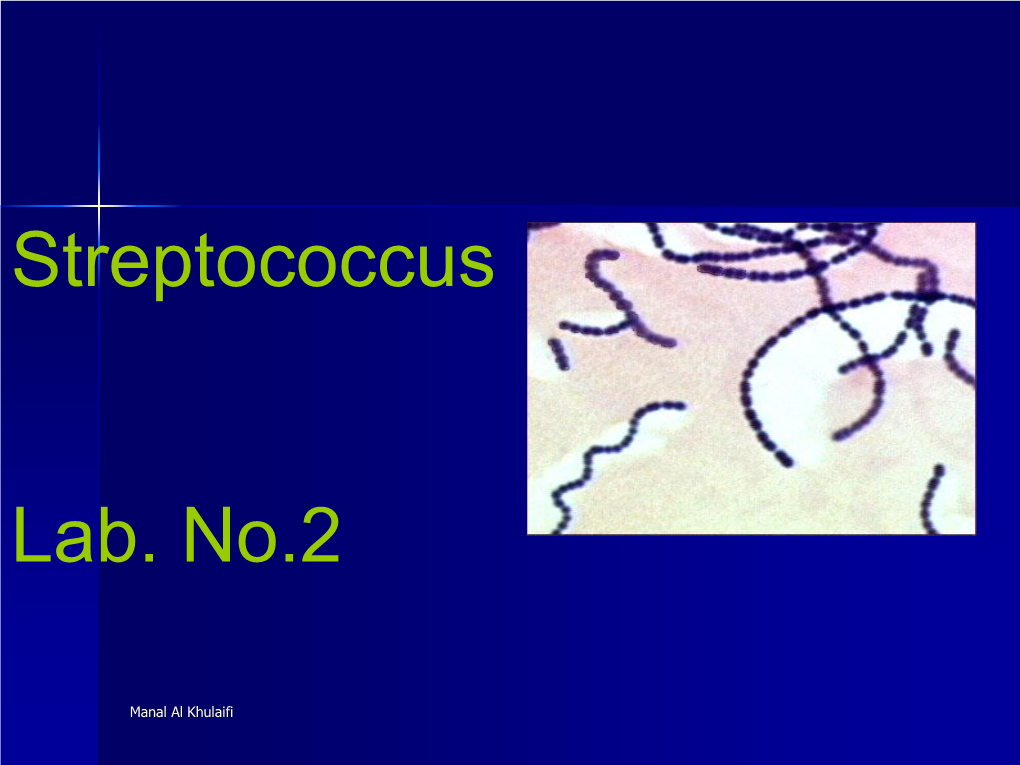 Streptococcus Lab. No.2