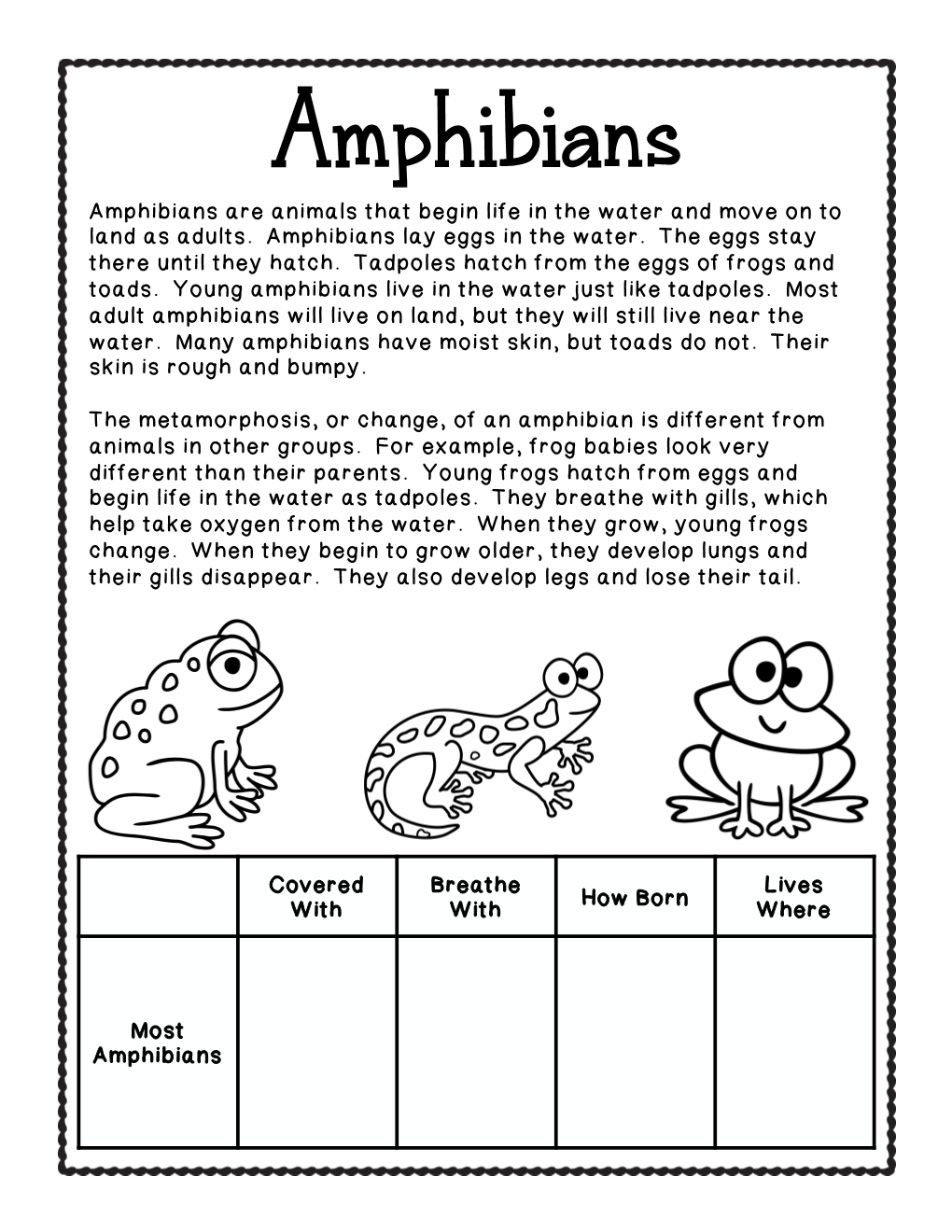 Amphibians Amphibians Are Animals That Begin Life in the Water and Move on to Land As Adults