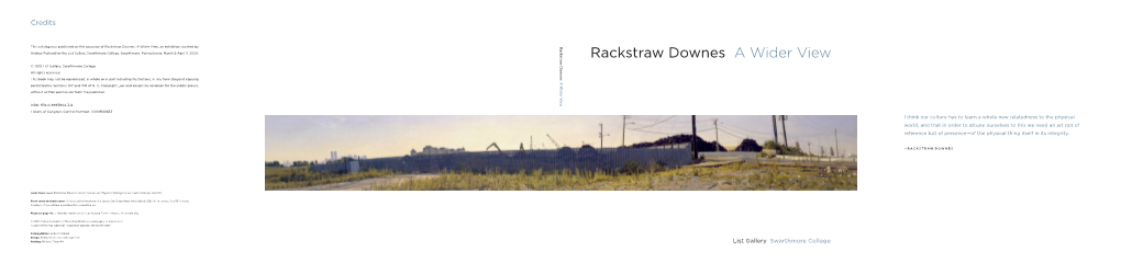 Rackstraw Downes a Wider View
