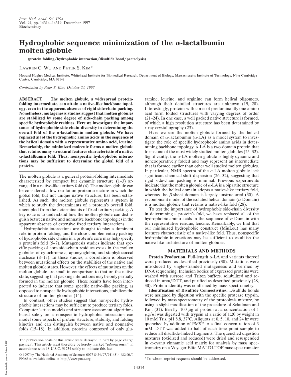 Lactalbumin Molten Globule (Protein Folding͞hydrophobic Interaction͞disulfide Bond͞proteolysis)