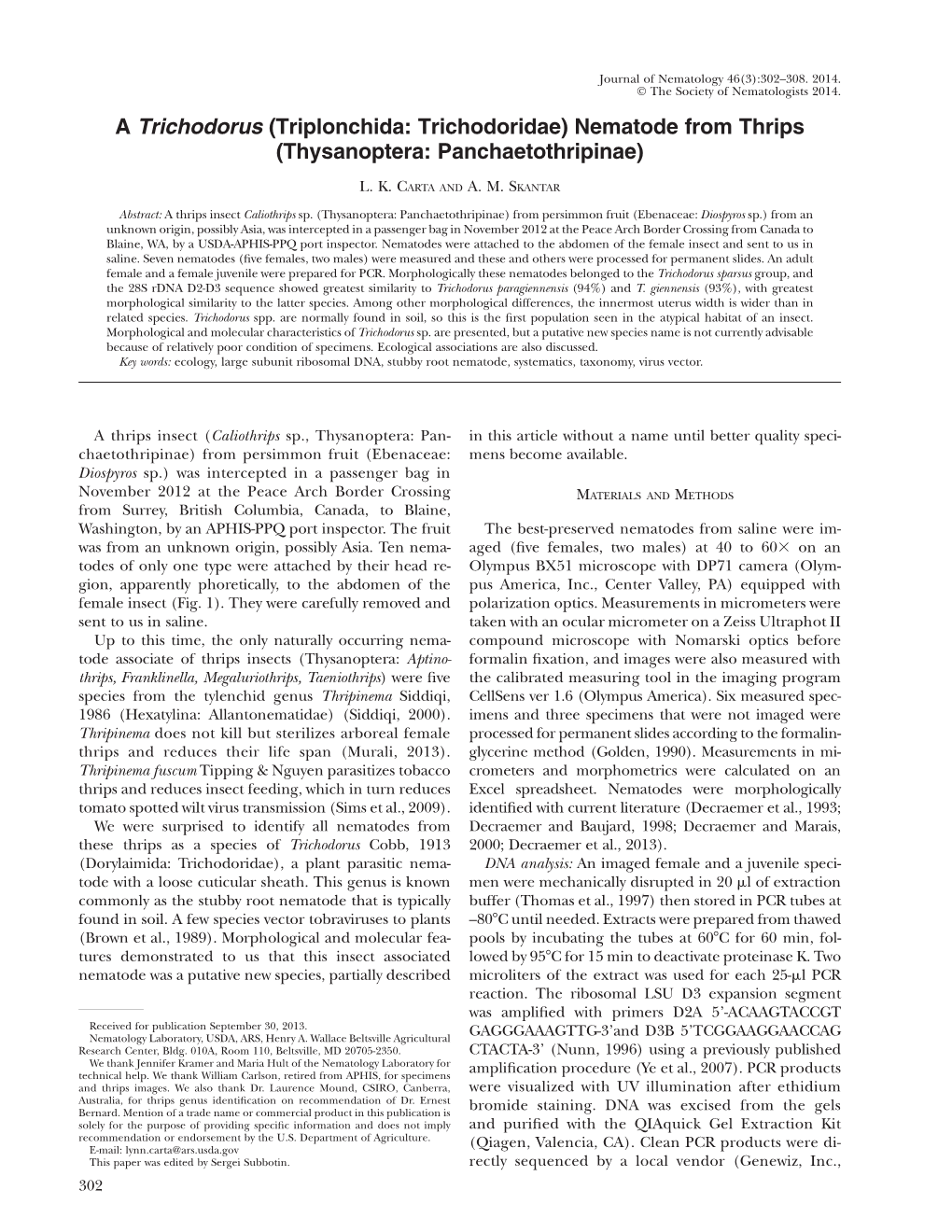 A Trichodorus (Triplonchida: Trichodoridae) Nematode from Thrips (Thysanoptera: Panchaetothripinae)