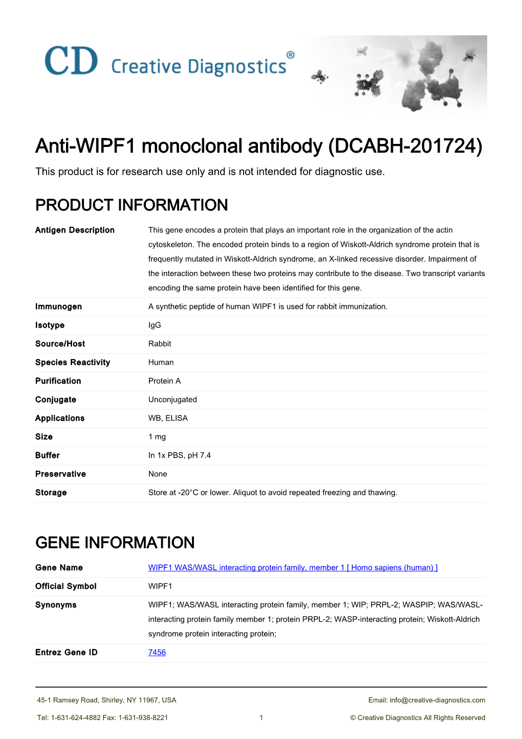 Anti-WIPF1 Monoclonal Antibody (DCABH-201724) This Product Is for Research Use Only and Is Not Intended for Diagnostic Use