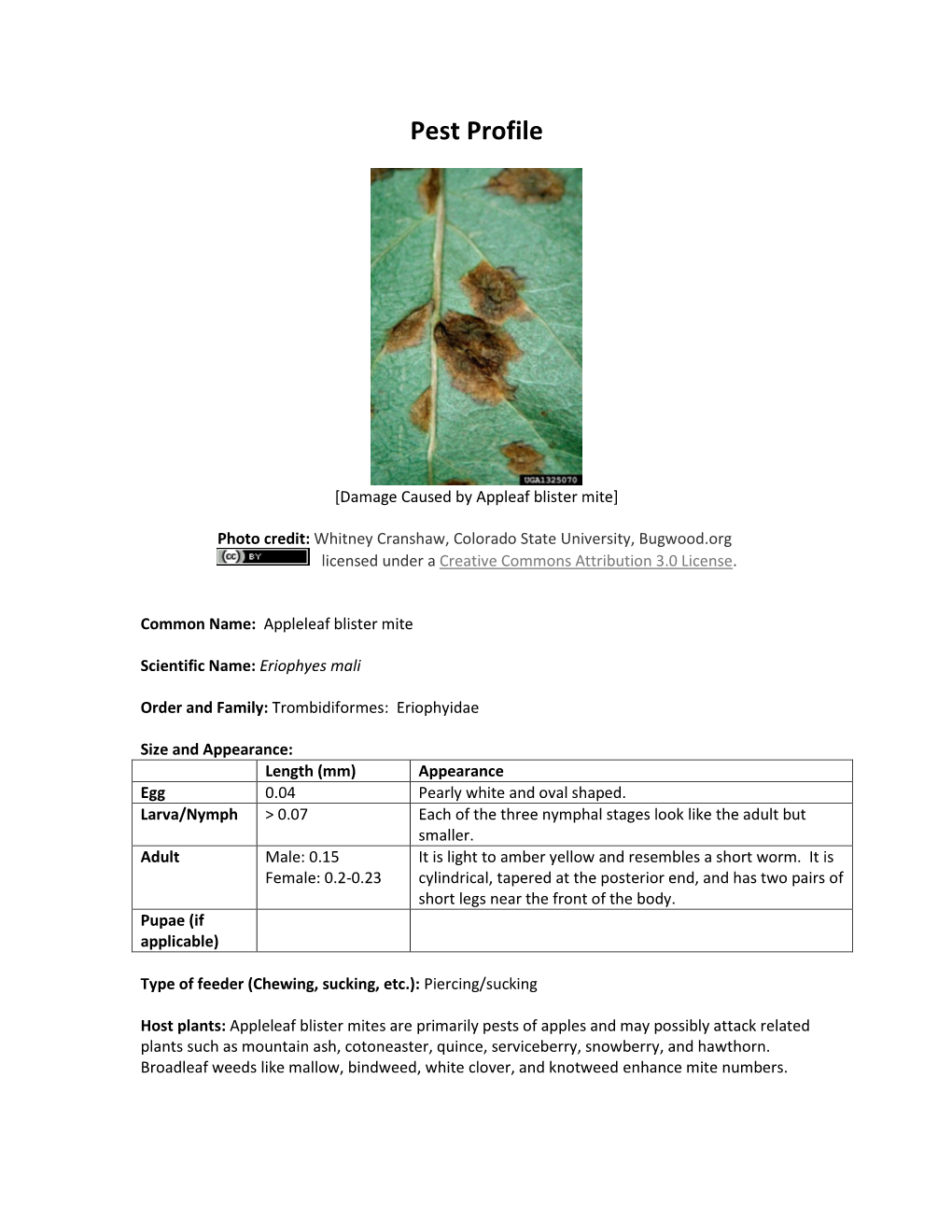 Appleleaf Blister Mite