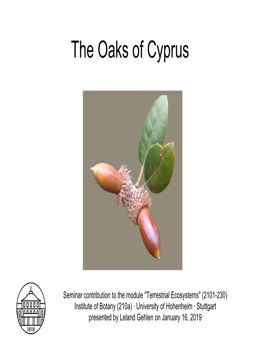 6 the Oaks of Cyprus