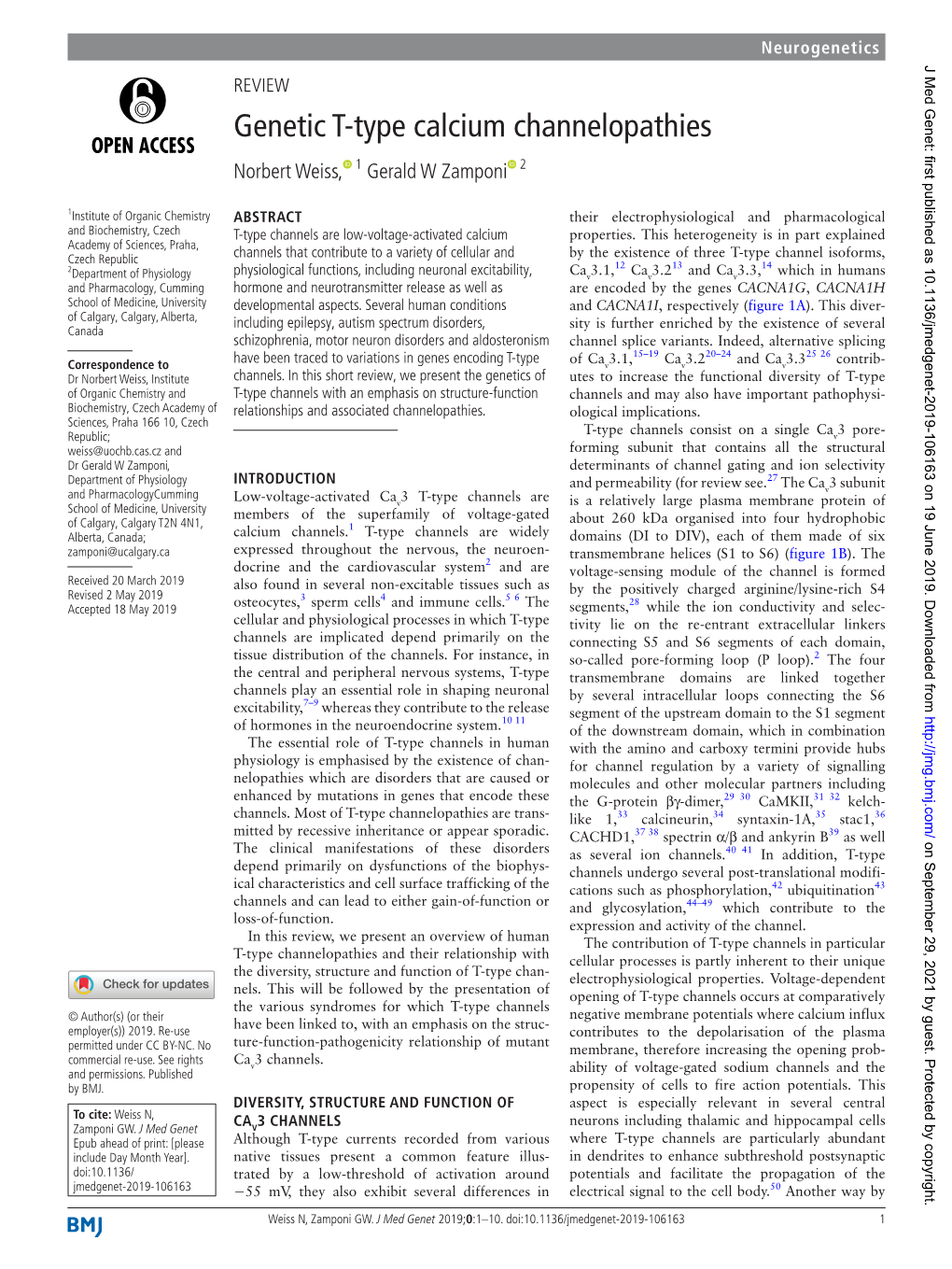 Genetic T-Type Calcium Channelopathies Norbert Weiss,‍ ‍ 1 Gerald W Zamponi‍ ‍ 2