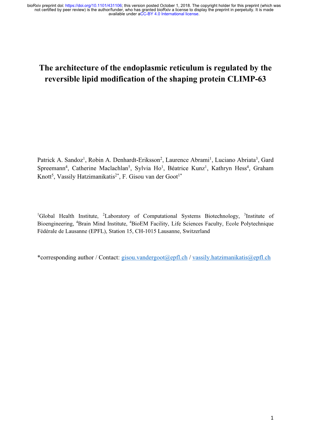 The Architecture of the Endoplasmic Reticulum Is Regulated by the Reversible Lipid Modification of the Shaping Protein CLIMP-63