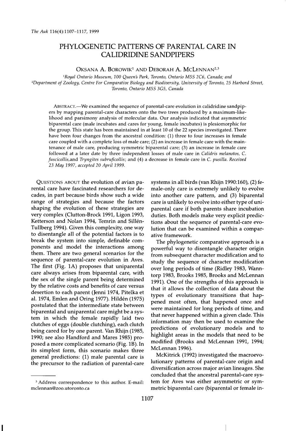 Phylogenetic Patterns of Parental Care in Calidridine Sandpipers