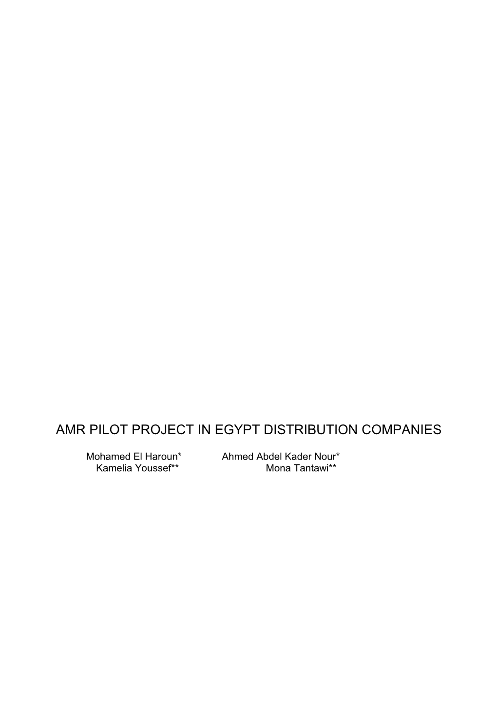 Amr Pilot Project In Egypt Distribution Companies