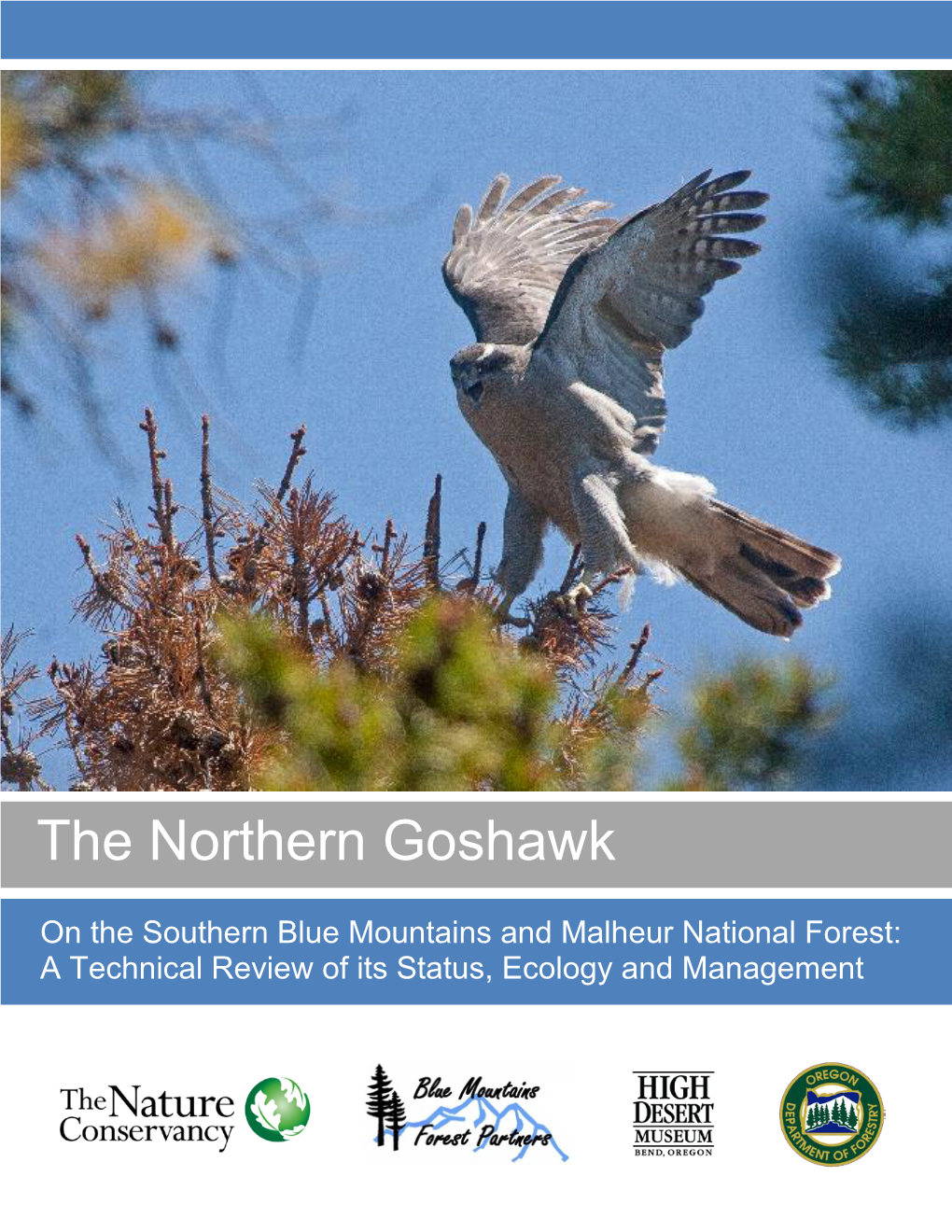 The Northern Goshawk on the Southern Blue Mountains and Malheur National Forest: a Technical Review of Its Status, Ecology and Management