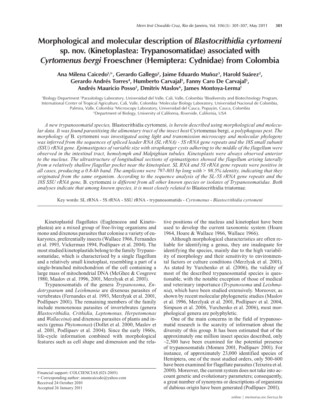 Morphological and Molecular Description of Blastocrithidia Cyrtomeni Sp