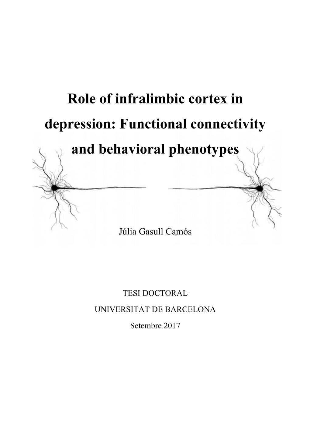 Role of Infralimbic Cortex in Depression: Functional Connectivity and Behavioral Phenotypes