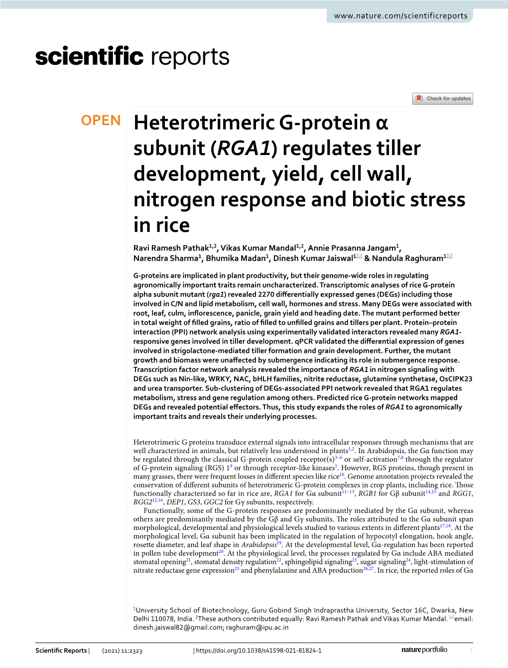 Heterotrimeric G-Protein Α Subunit (RGA1) Regulates Tiller Development