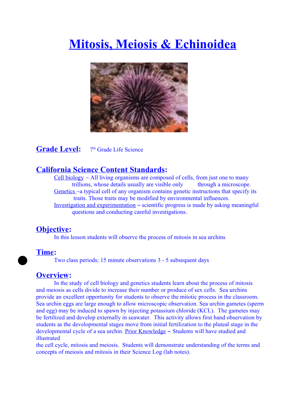 Mitosis, Meiosis & Echinoidea