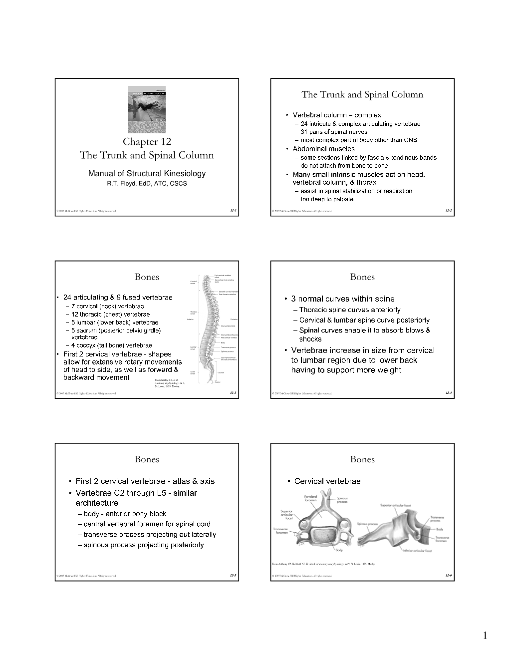 Chapter 12 the Trunk and Spinal Column