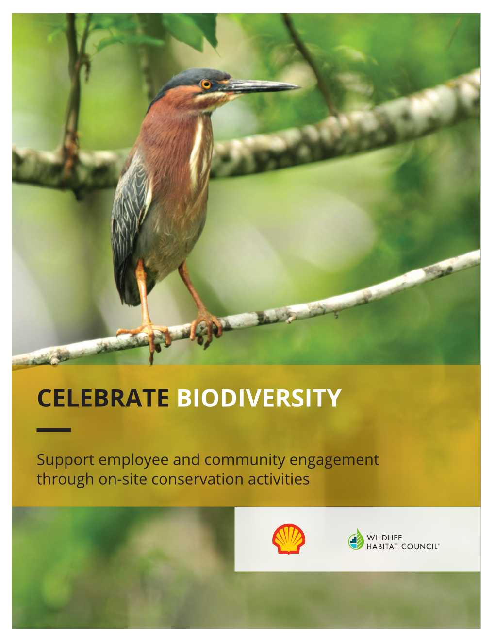 Celebrate Biodiversity