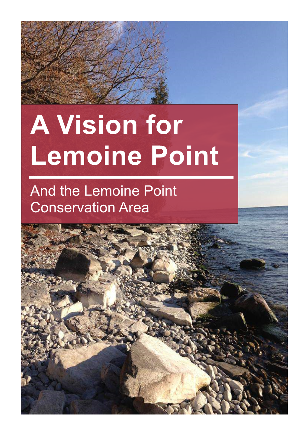 A Vision for Lemoine Point
