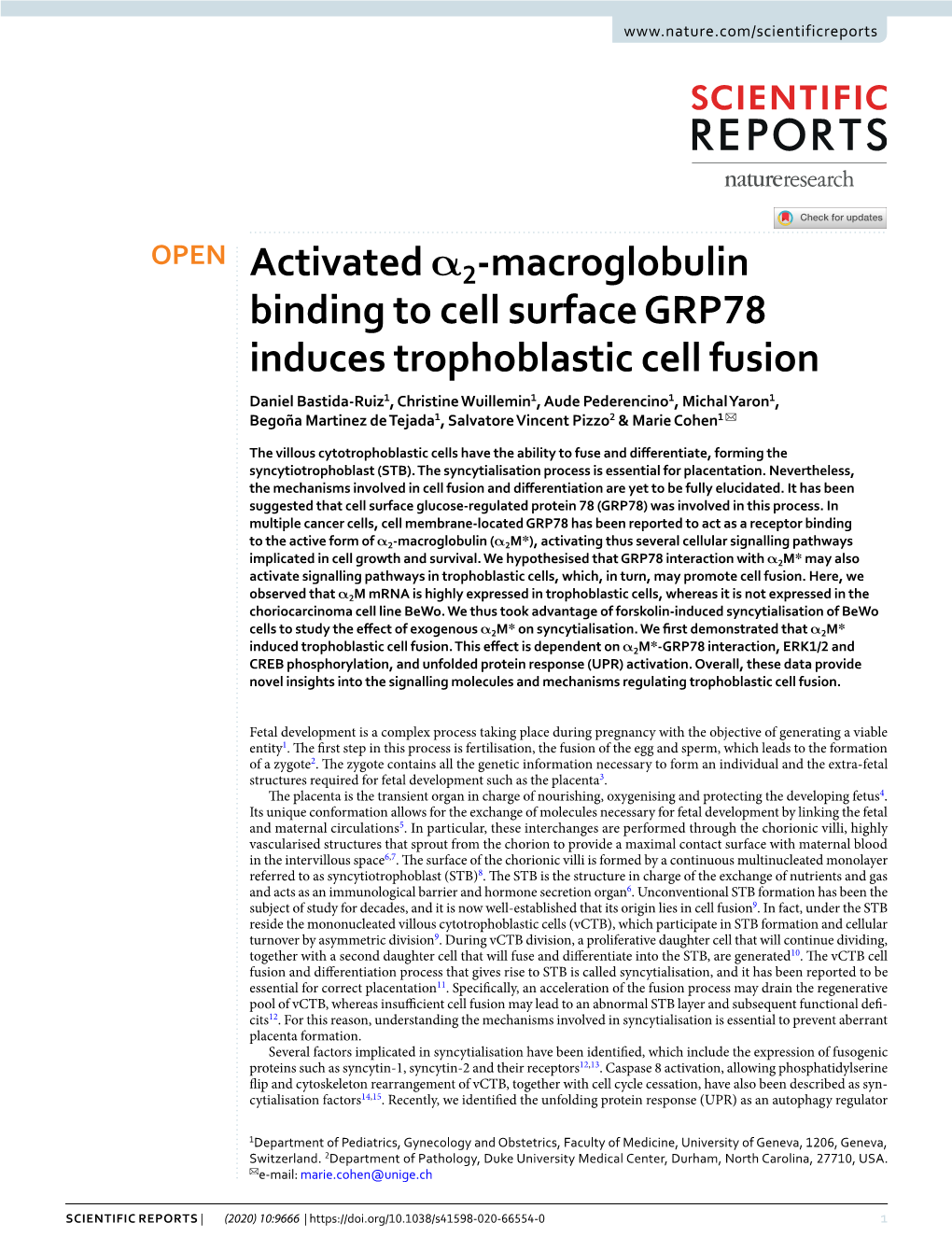 Activated Α2-Macroglobulin Binding to Cell Surface GRP78 Induces Trophoblastic Cell Fusion