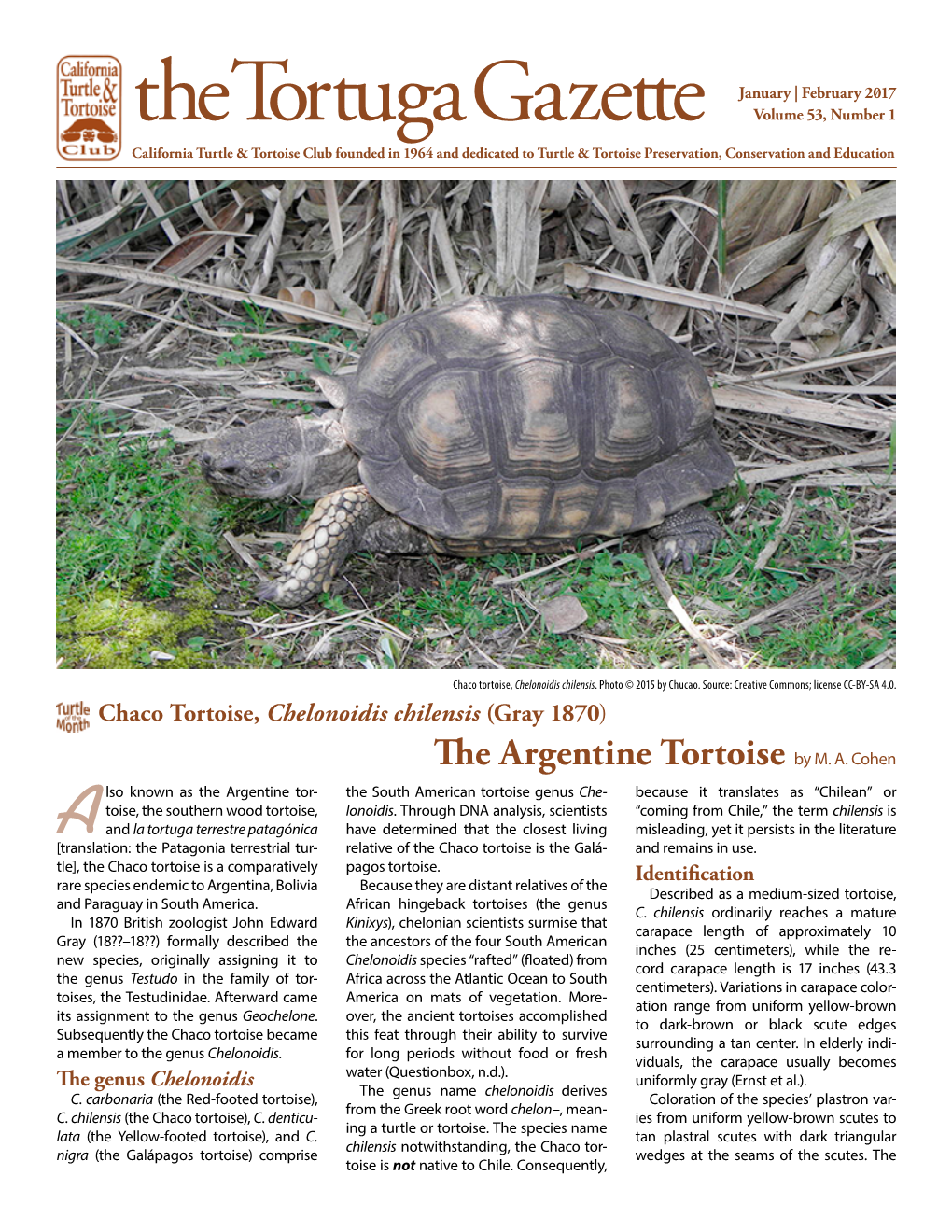 The Tortuga Gazette January | February 2017