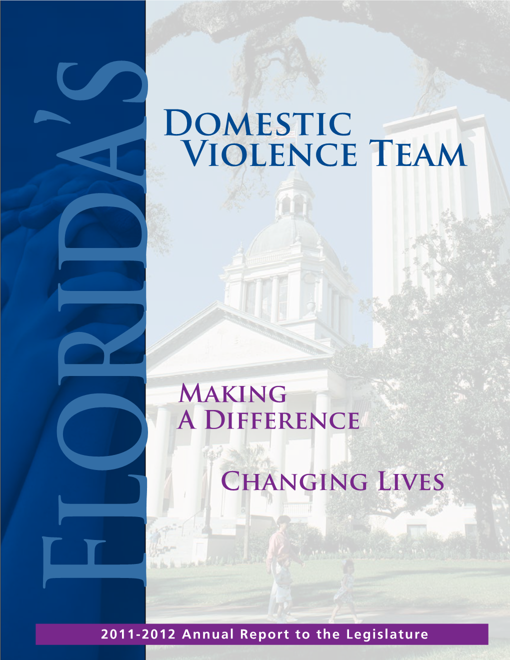 Domestic Violence Team