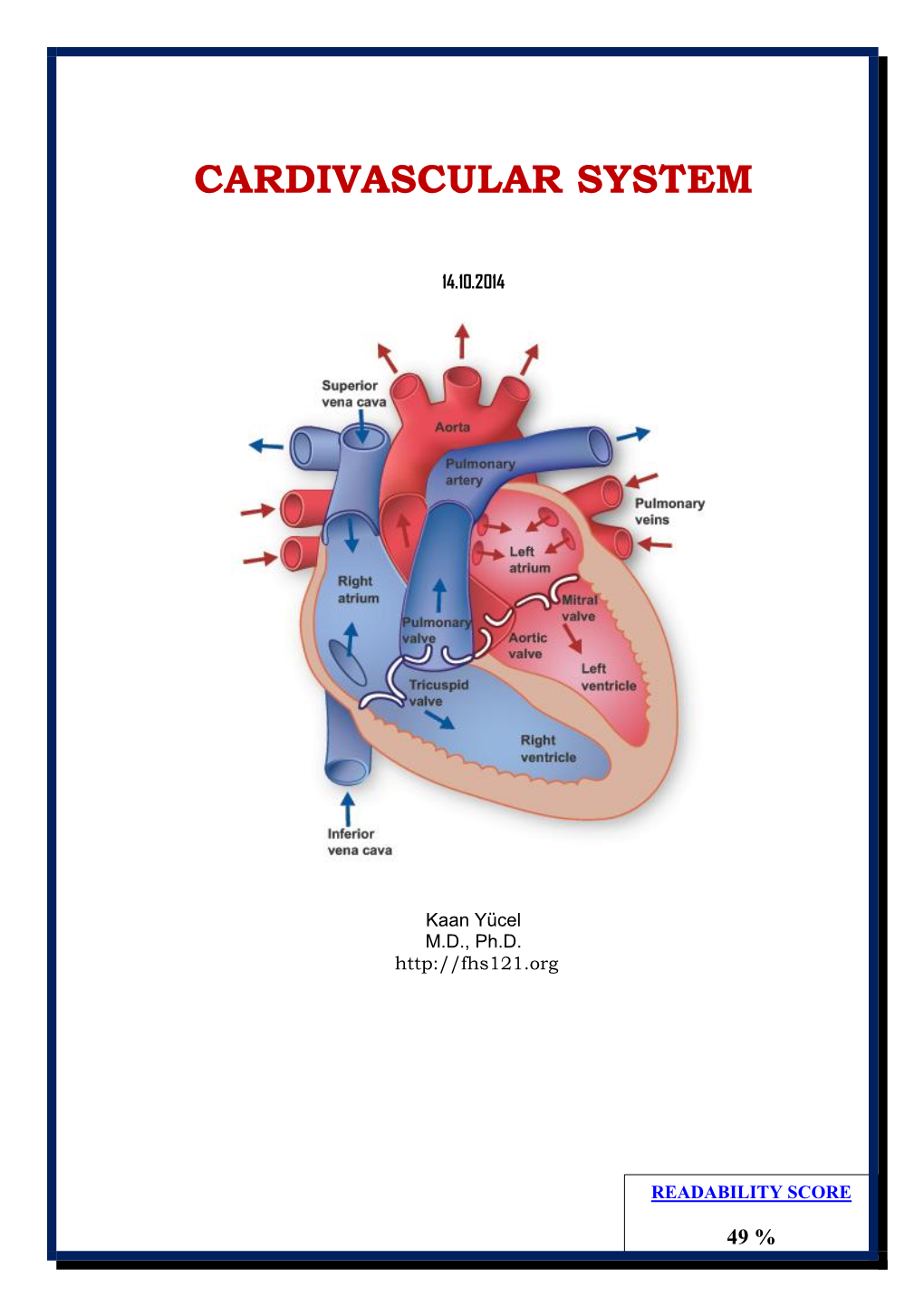 Cardivascular System