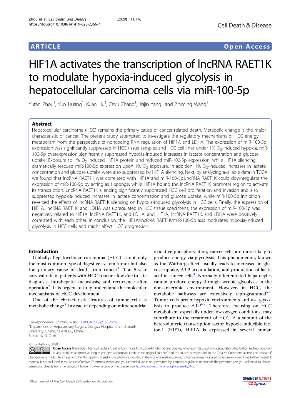 HIF1A Activates the Transcription of Lncrna RAET1K to Modulate