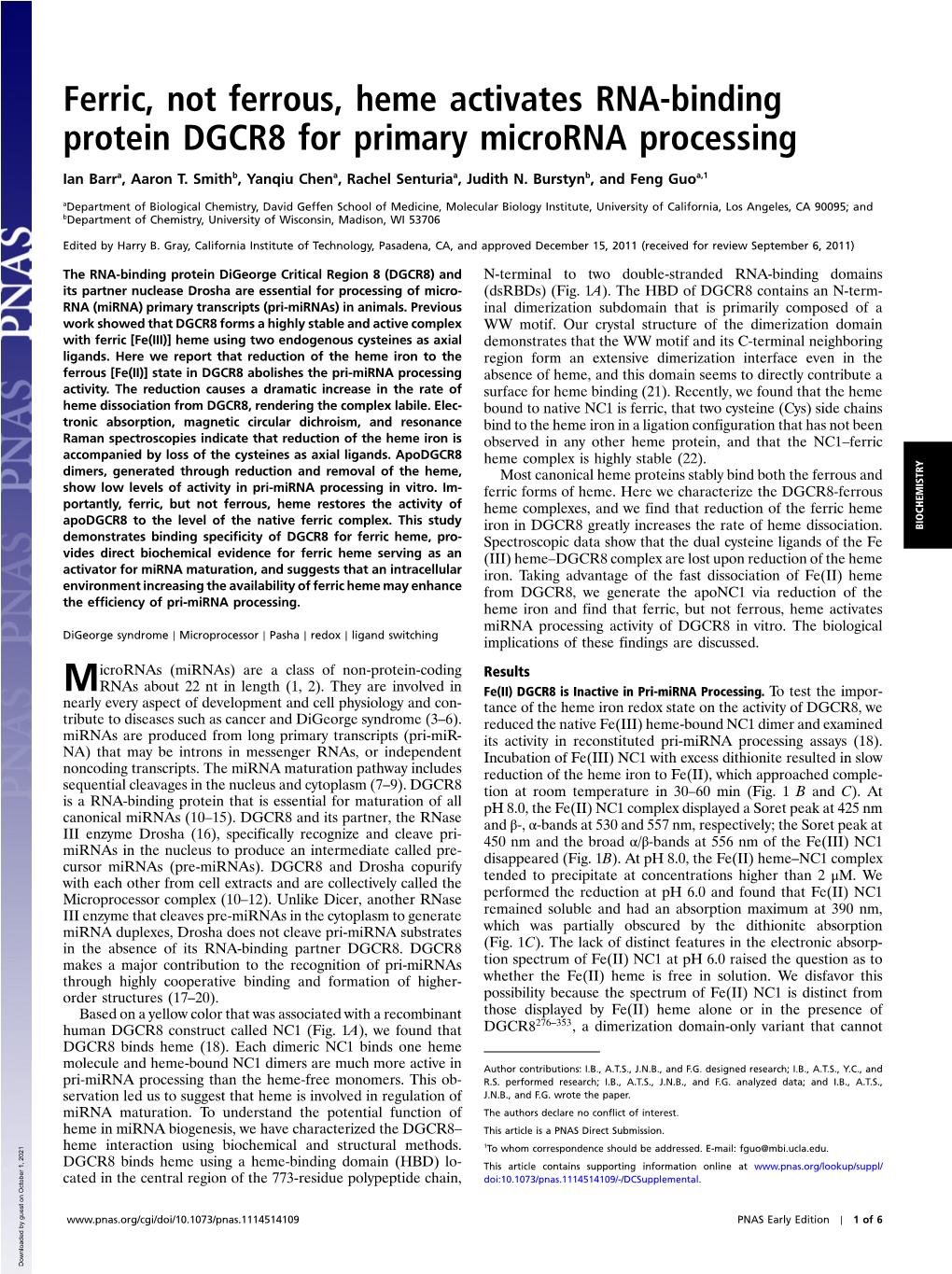 Ferric, Not Ferrous, Heme Activates RNA-Binding Protein DGCR8 for Primary Microrna Processing