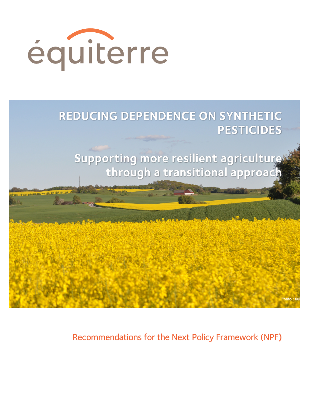 REDUCING DEPENDENCE on SYNTHETIC PESTICIDES Supporting More Resilient Agriculture Through a Transitional Approach