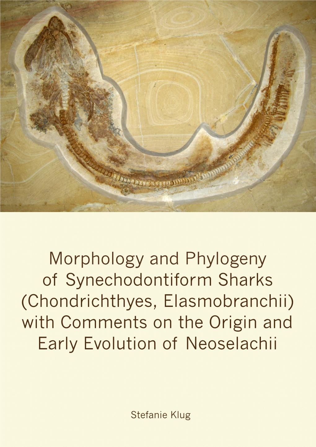 Morphology and Phylogeny of Synechodontiform Sharks (Chondrichthyes, Elasmobranchii) with Comments on the Origin and Early Evolution of Neoselachii