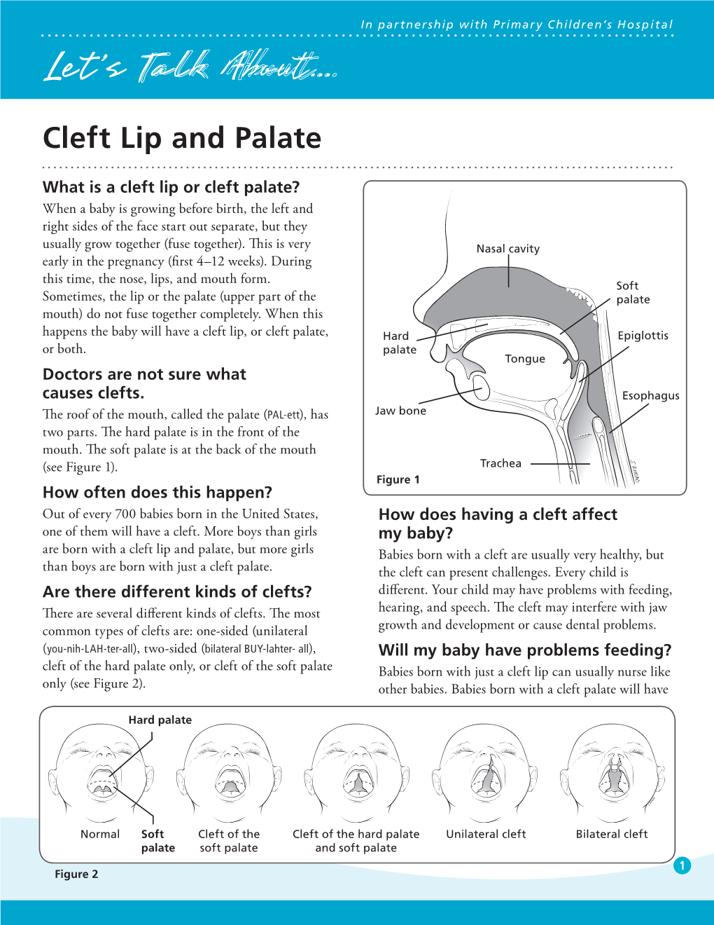 Cleft Lip and Palate (Let's Talk About... Pediatric