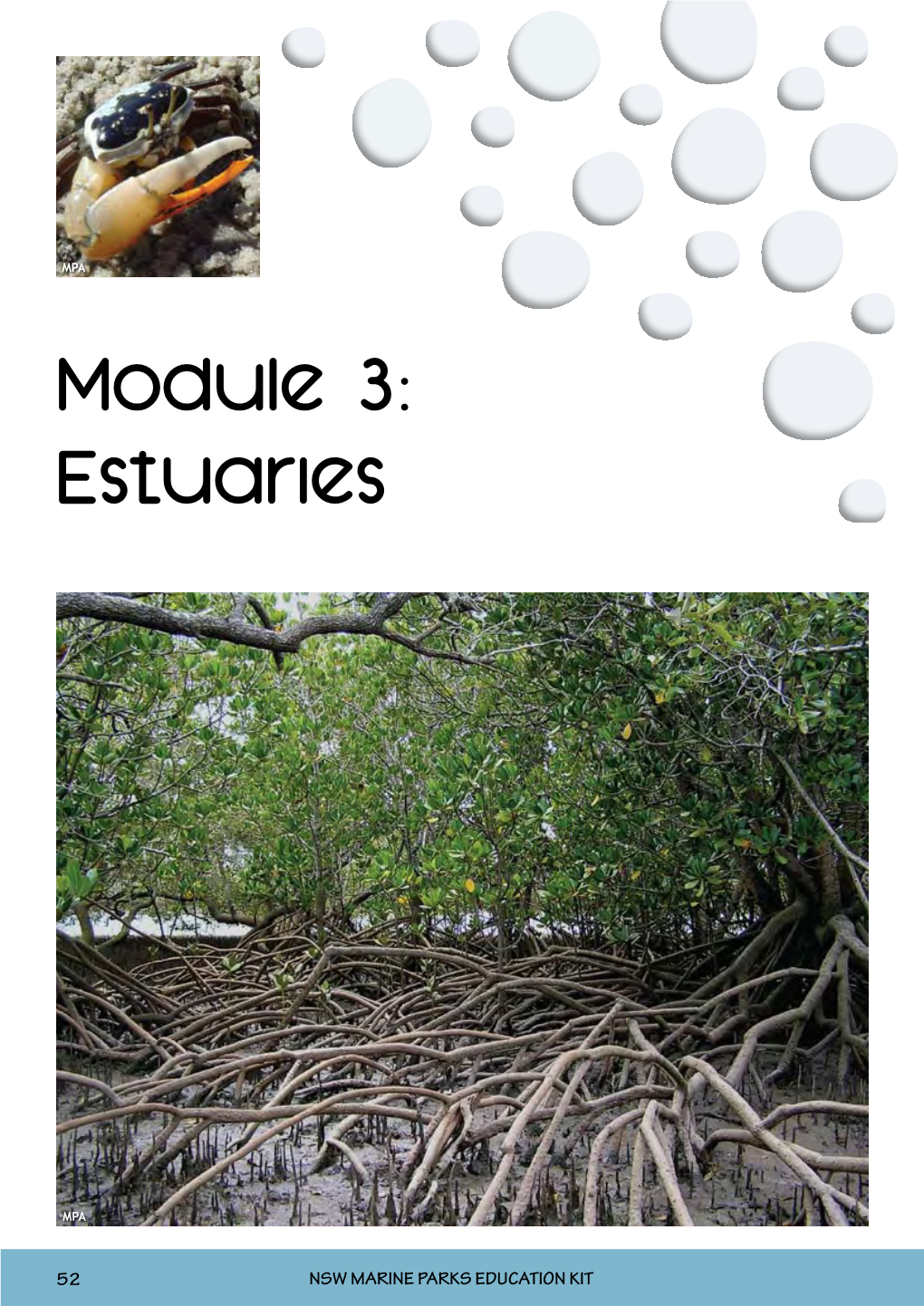Module 3: Estuaries