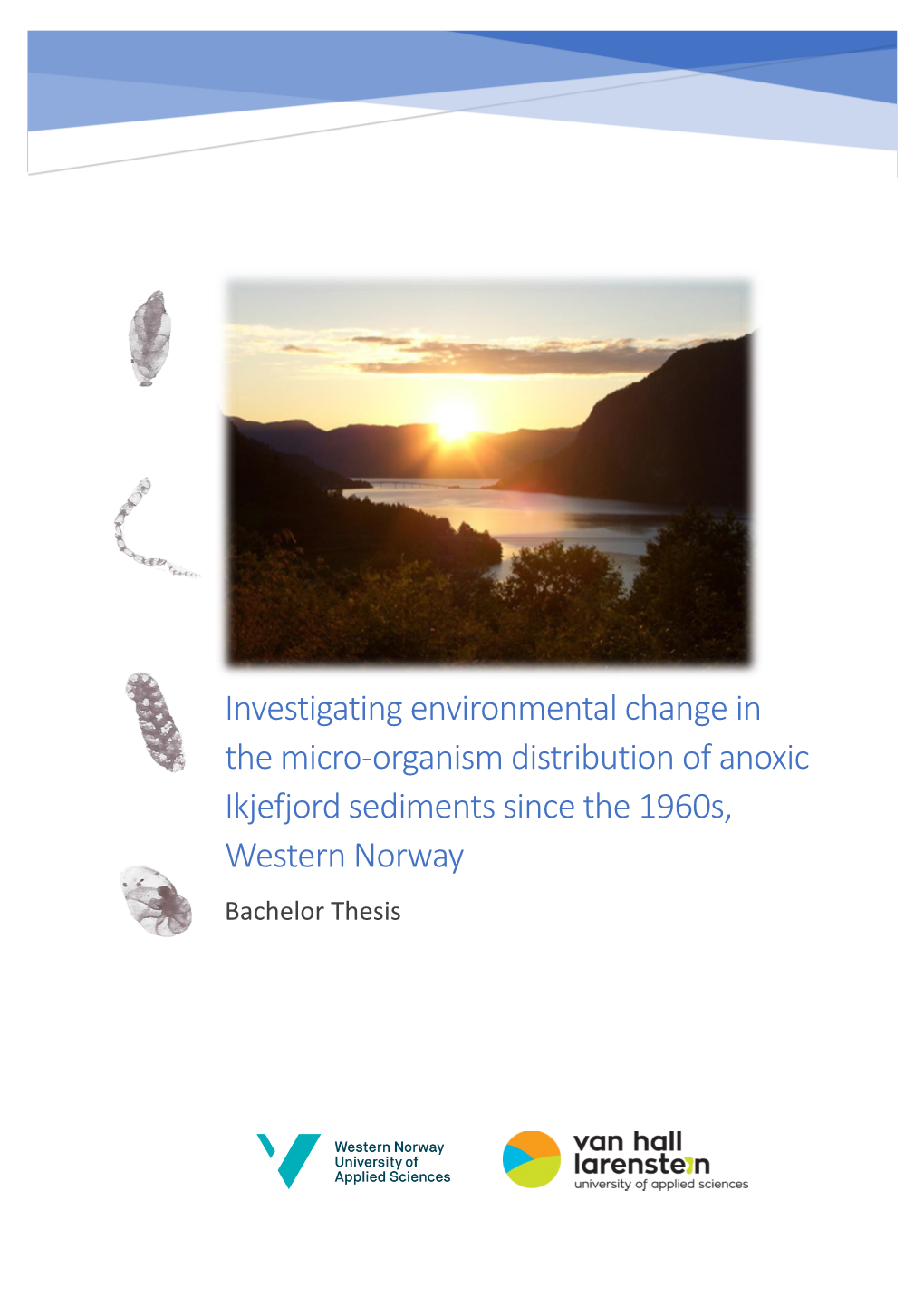 Organism Distribution of Anoxic Ikjefjord Sediments Since the 1960S, Western Norway Bachelor Thesis