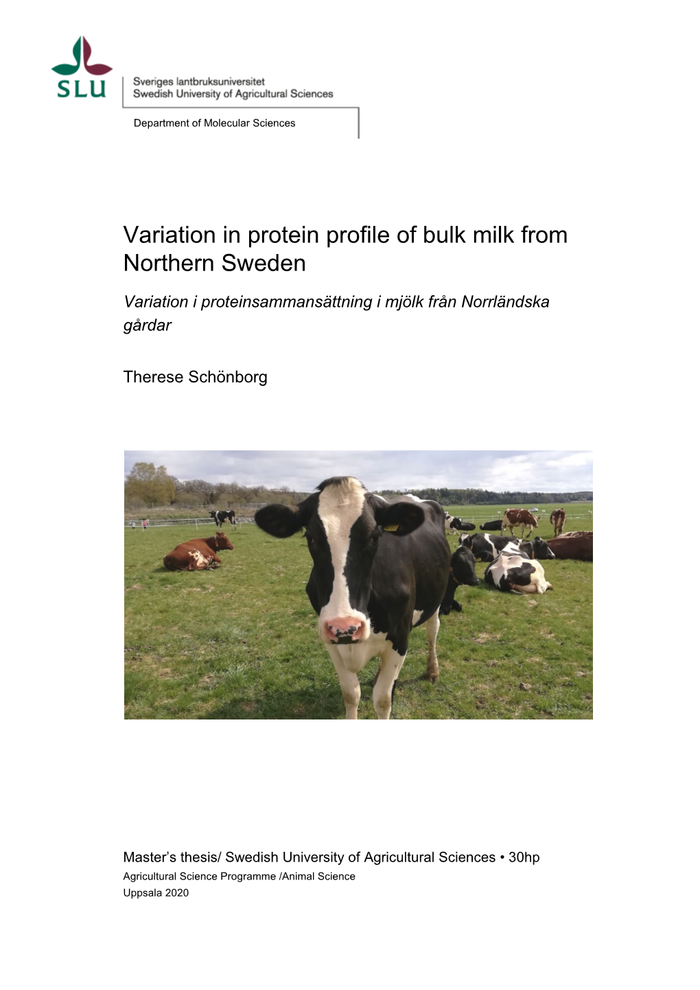 Variation in Protein Profile of Bulk Milk from Northern Sweden