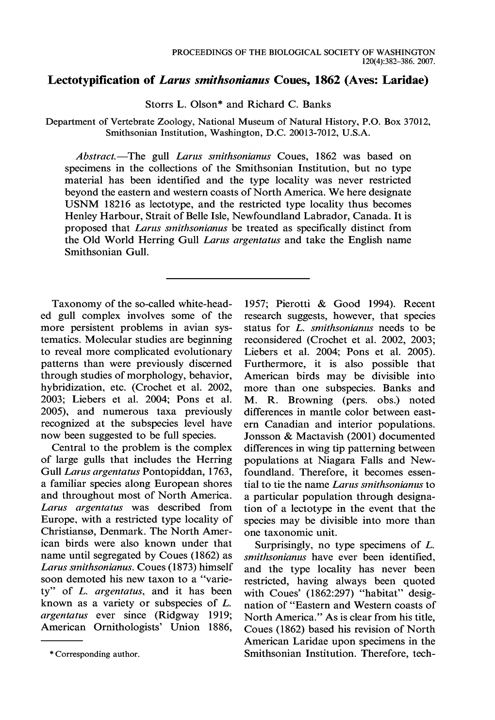 Lectotypification of Larus Smithsonianus Coues, 1862 (Aves: Laridae)