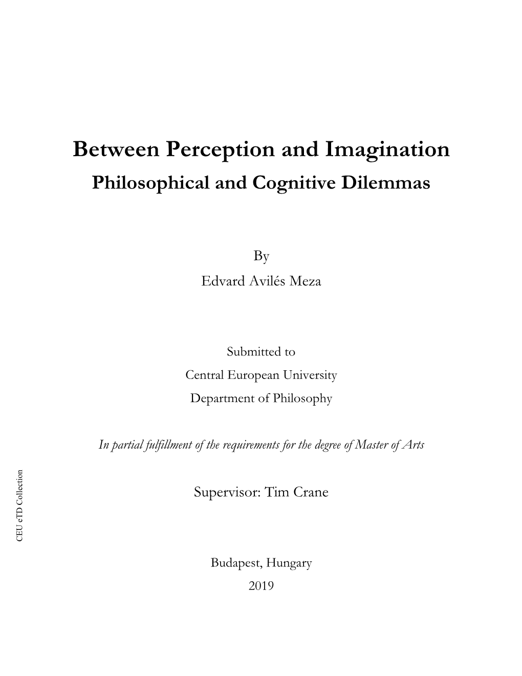 Between Perception and Imagination Philosophical and Cognitive Dilemmas