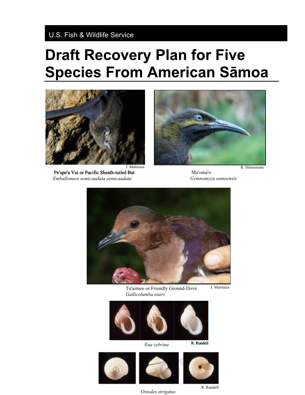 Draft Recovery Plan for Five Species from American Sāmoa