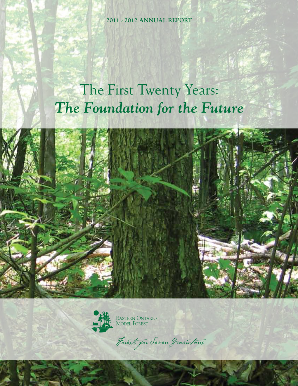 The First Twenty Years: the Foundation for the Future 4