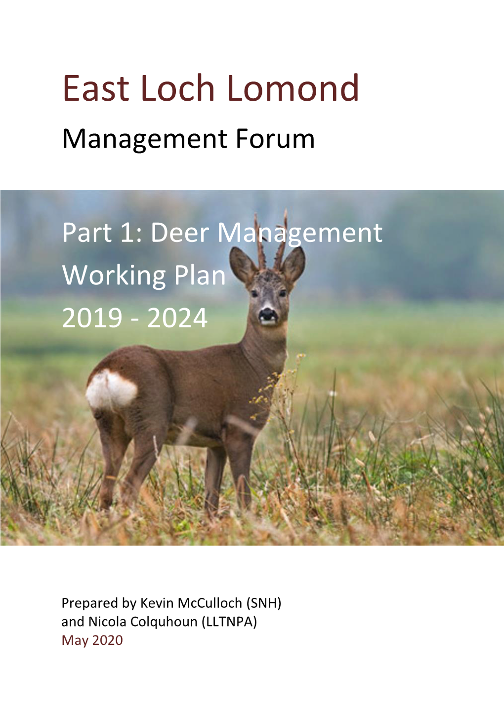 East Loch Lomond Management Forum