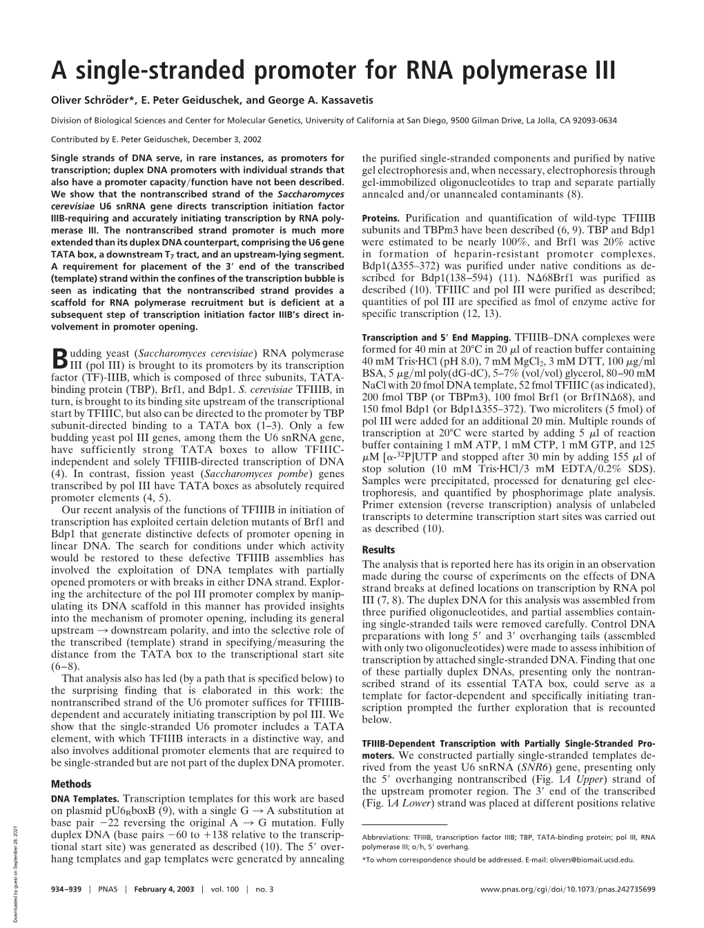 A Single-Stranded Promoter for RNA Polymerase III