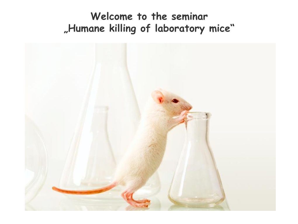 Welcome to the Seminar „Humane Killing of Laboratory Mice“ Two (Main) Reasons for Killing Animals in Research