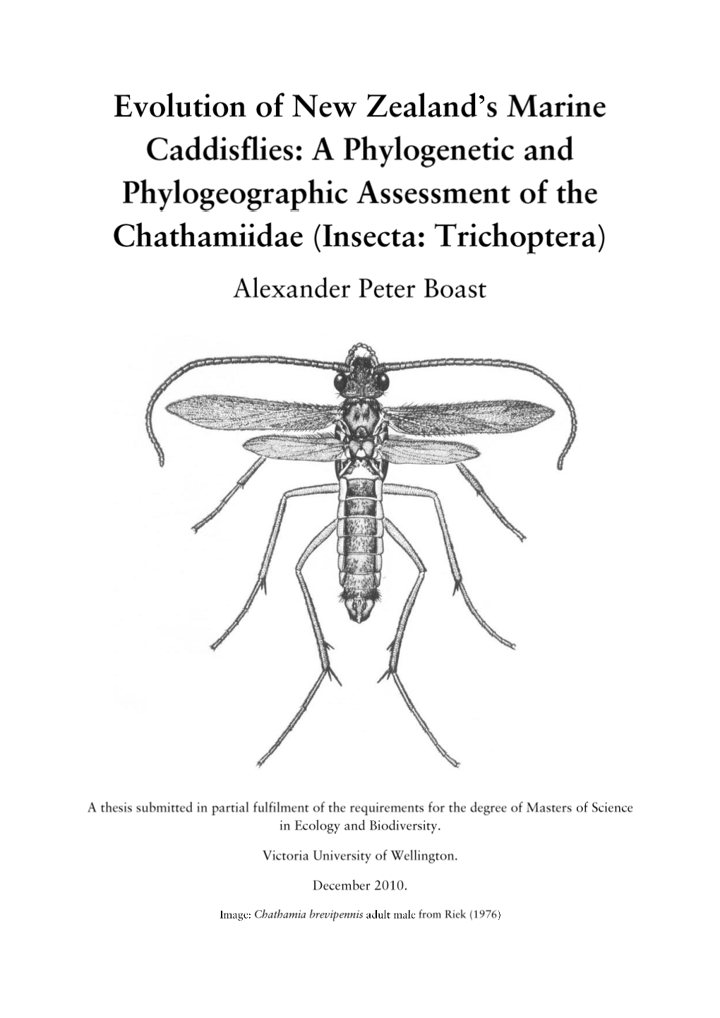 Are New Zealand's Marine Caddisflies a ‘Ghost of Gondwana’? Phylogenetic Placement of the Chathamiidae