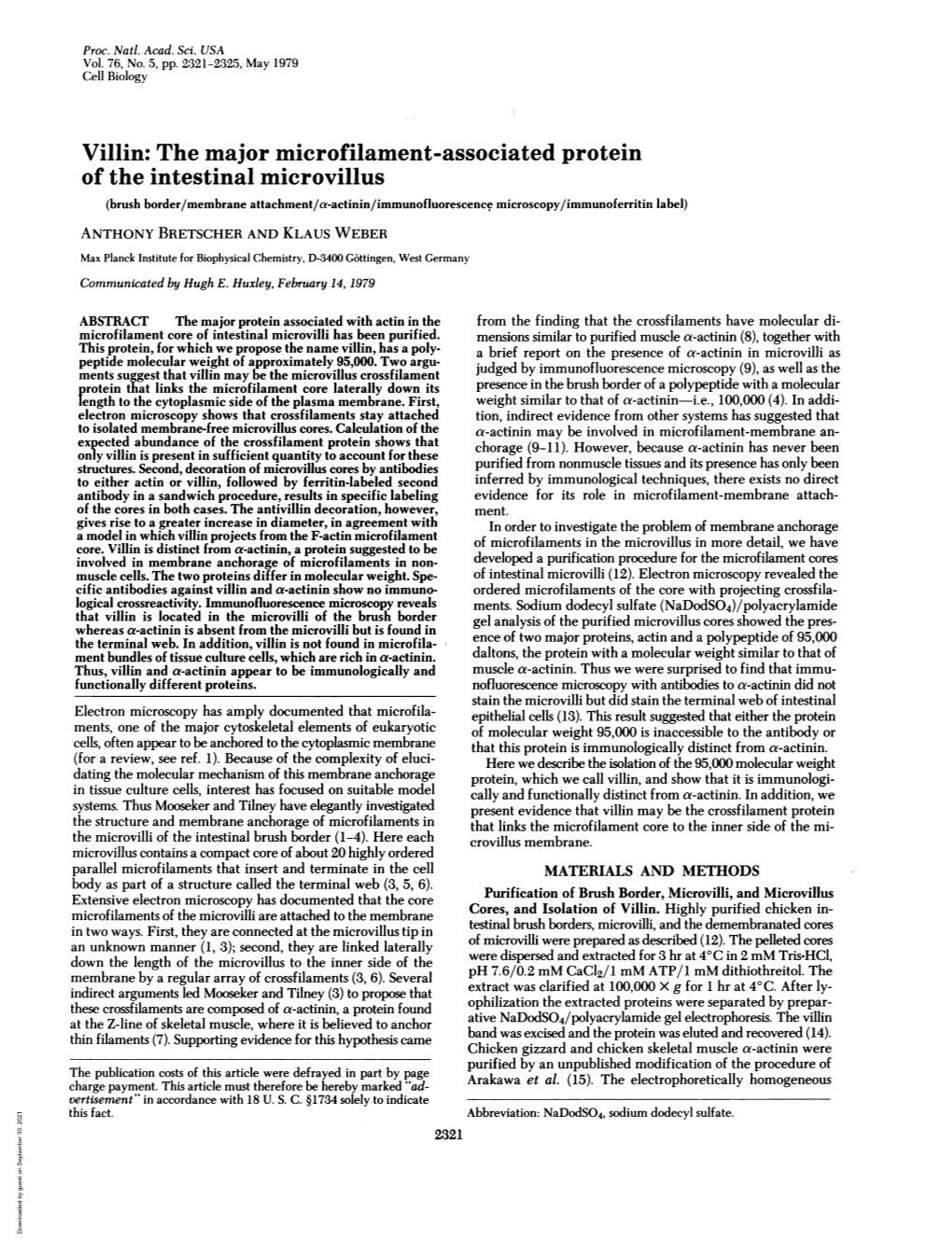 The Major Microfilament-Associated Protein of the Intestinal Microvillus