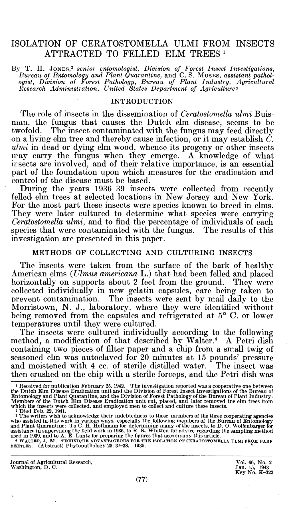 Isolation of Ceratostomella Ulmi from Insects Attracted to Felled Elm Trees =